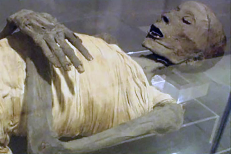 The Curse of the Cocaine Mummies