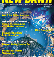 New Dawn 110