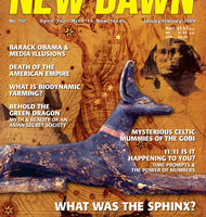 New Dawn 112