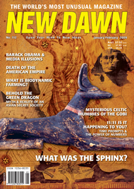 New Dawn 112