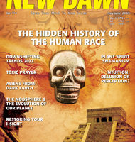 New Dawn 114