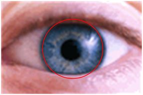 Sacred Sight: Improving Vision Naturally