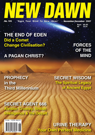 New Dawn 105