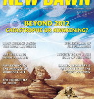 New Dawn 117