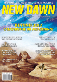 New Dawn 117
