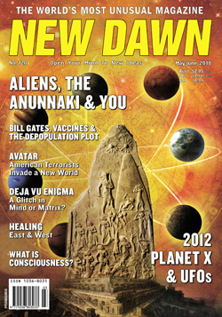 New Dawn 120