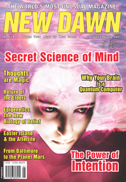 New Dawn 124
