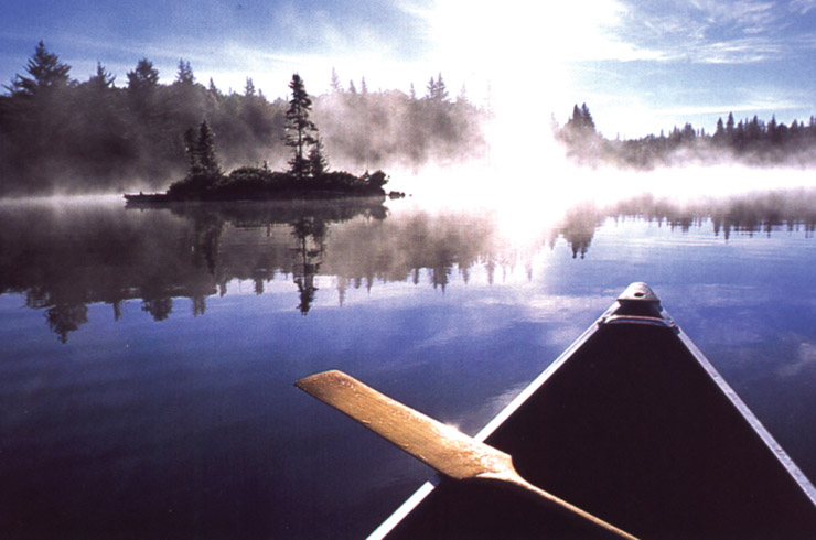 Cheating the Ferryman: A New Paradigm of Existence?
