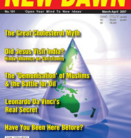 New Dawn 101