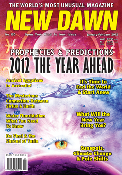 New Dawn 130