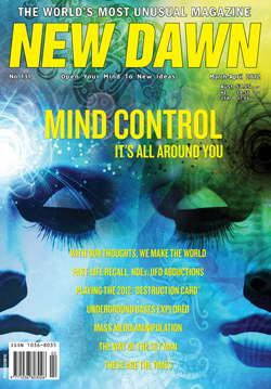 New Dawn 131