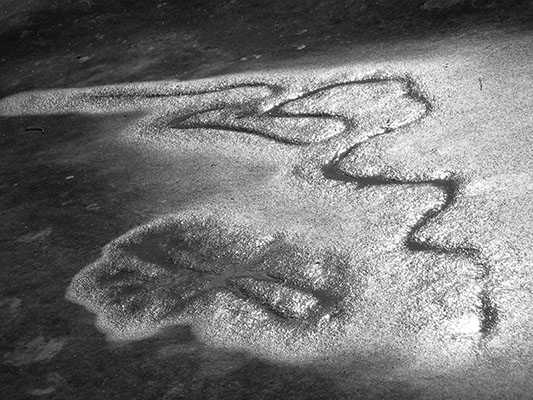 Ancient Egyptians in Australia! Could Mysterious Engravings Rewrite our History?