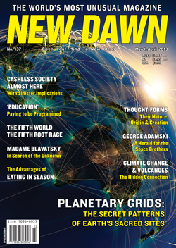 New Dawn 137
