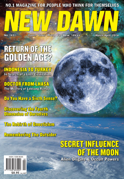 New Dawn 143