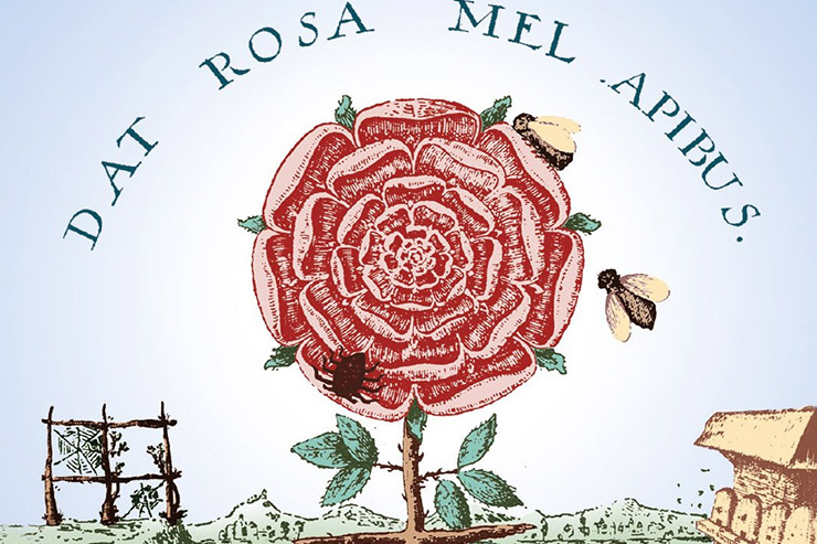 The Rosicrucian Vision
