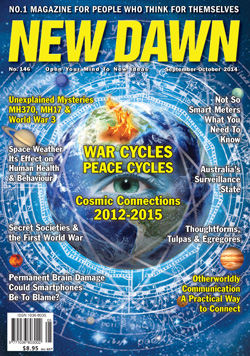 New Dawn 146