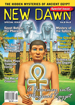 New Dawn Special Issue Vol.8 No.6