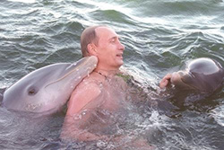 President Putin relaxing