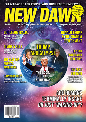 New Dawn 160