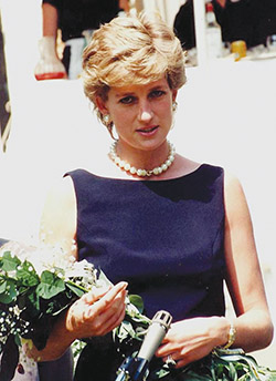 Assassination of the Humanitarian Princess: The Killing of Diana