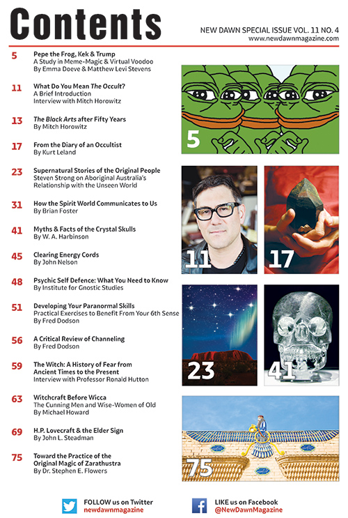 New Dawn Special Issue Vol.11 No.4 - Image 2