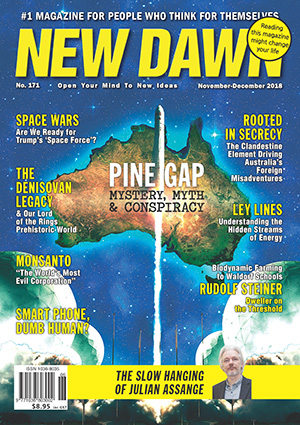 New Dawn 171