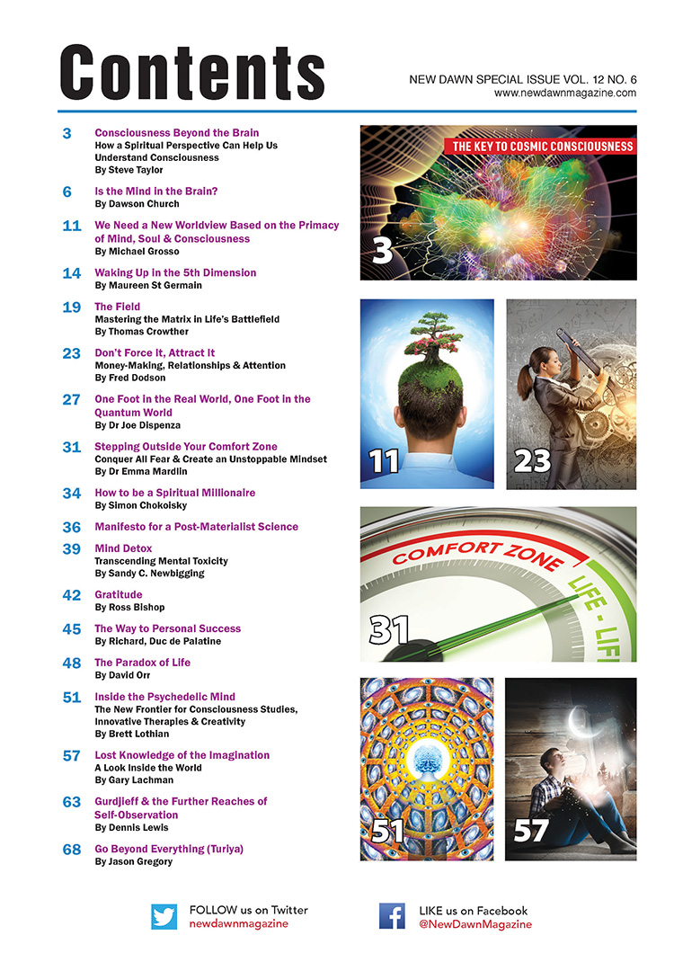 New Dawn Special Issue Vol.12 No.6 - Image 2
