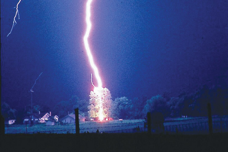 Transformed by Lightning: Real Life Stories