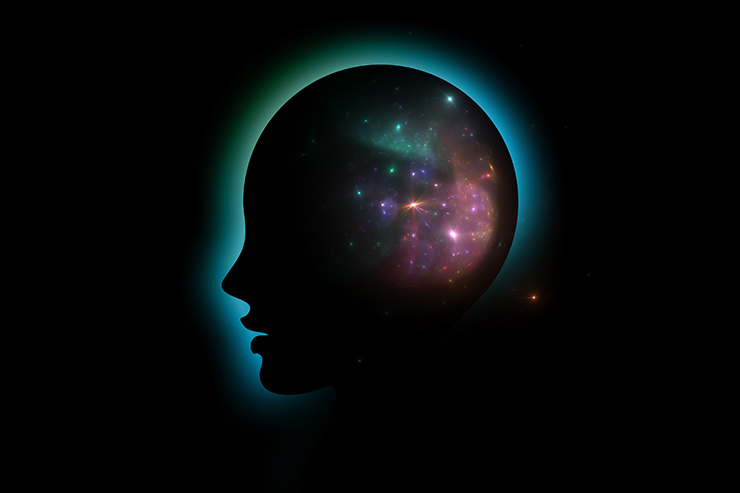 What Is Consciousness?