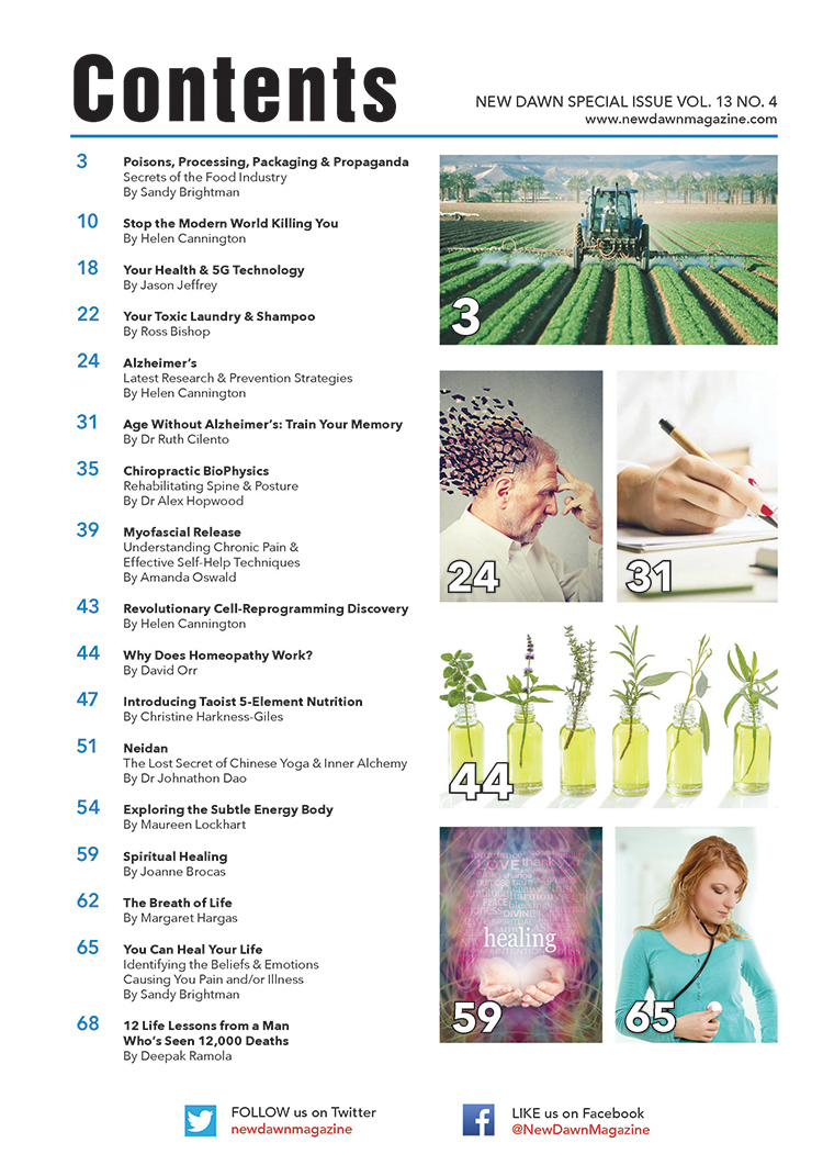 New Dawn Special Issue Vol.13 No.4 - Image 2