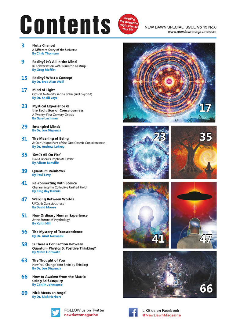 New Dawn Special Issue Vol.13 No.6 - Image 2