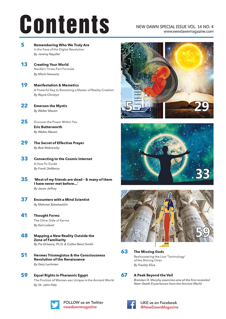 New Dawn Special Issue Vol.14 No.4 - Image 2