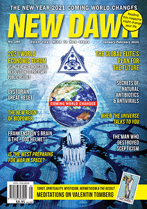 New Dawn 184