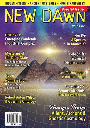 New Dawn Special Issue Vol.15 No.1