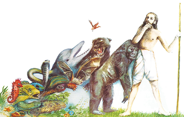 Evolution Upside-Down: History is Cyclical, Not Linear