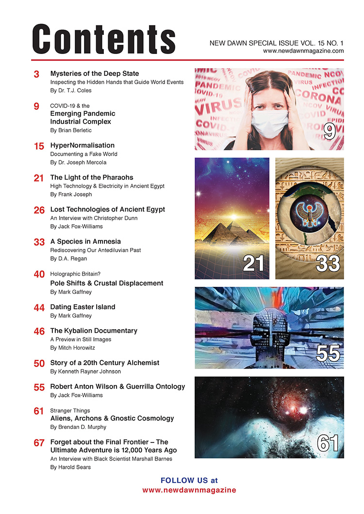 New Dawn Special Issue Vol.15 No.1 - Image 2