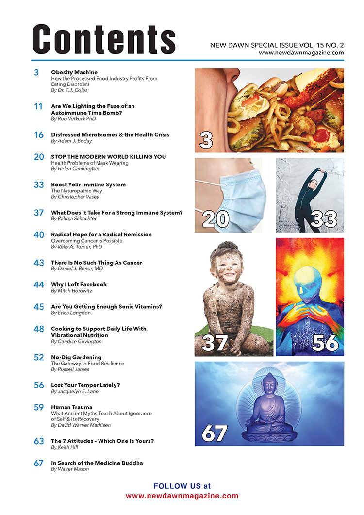 New Dawn Special Issue Vol.15 No.2 - Image 2