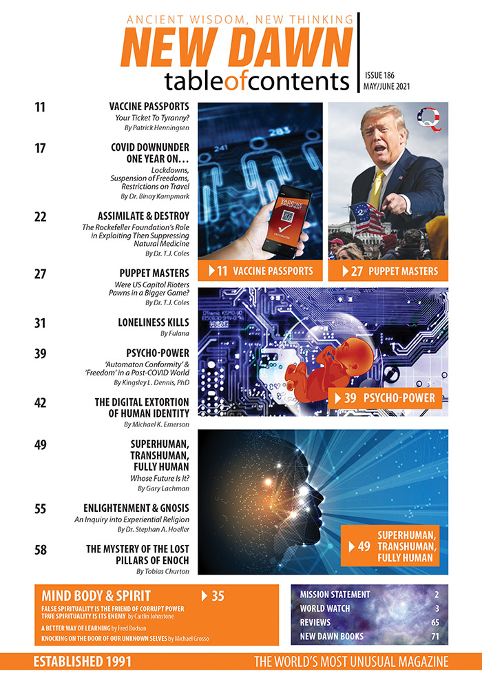 New Dawn 186 - Image 2