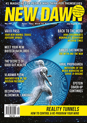 New Dawn 187
