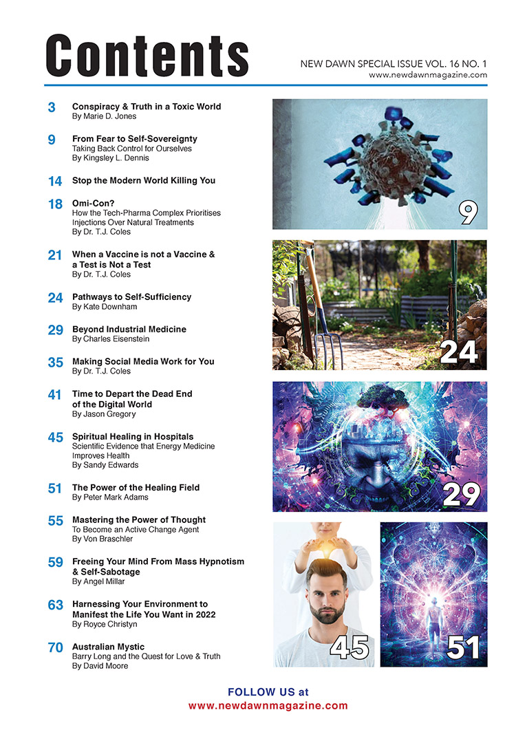 New Dawn Special Issue Vol.16 No.1 - Image 2