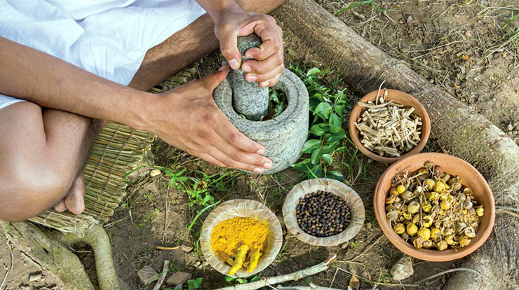 Assimilate & Destroy: The Rockefeller Foundation’s Role in Exploiting Then Suppressing Natural Medicine