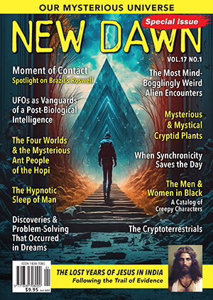 New Dawn Special Issue Vol.17 No.1