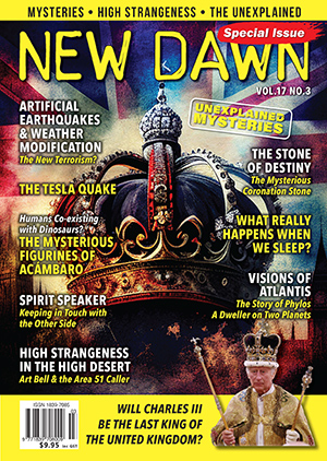 New Dawn Special Issue Vol.17 No.3
