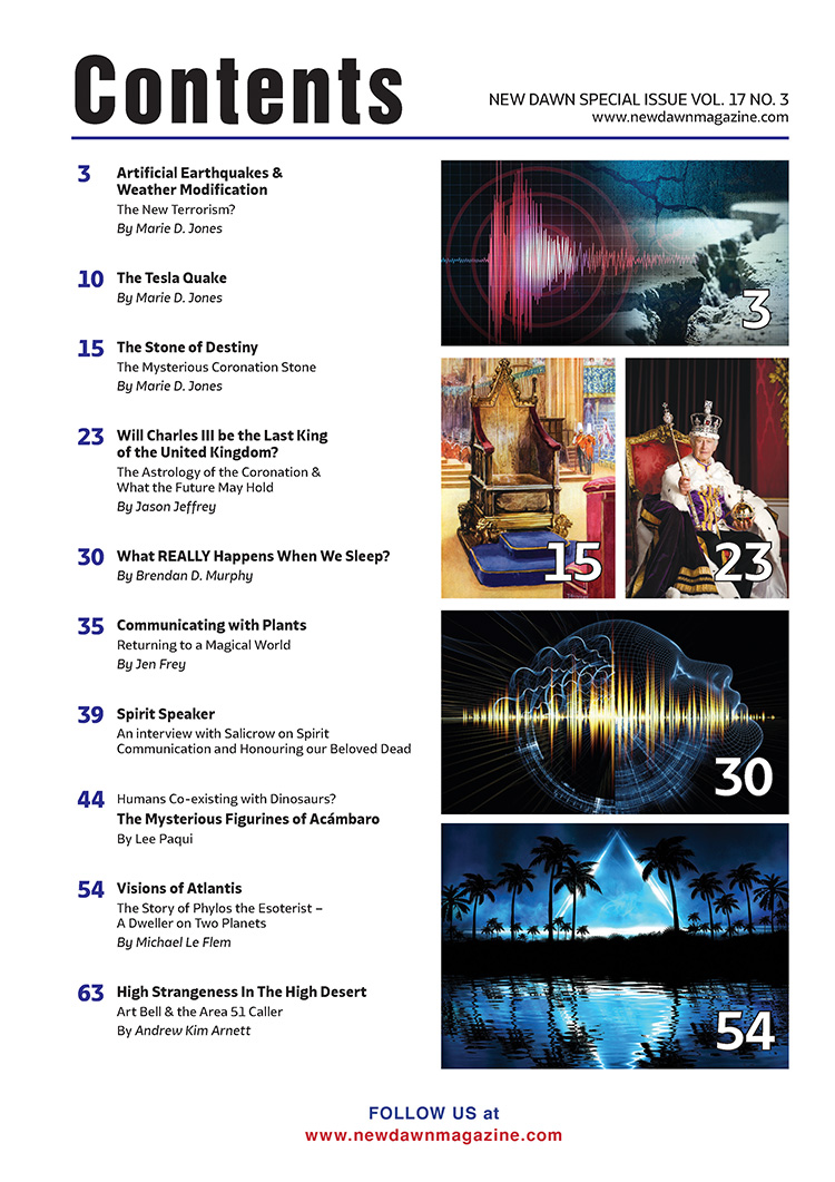 New Dawn Special Issue Vol.17 No.3 - Image 2