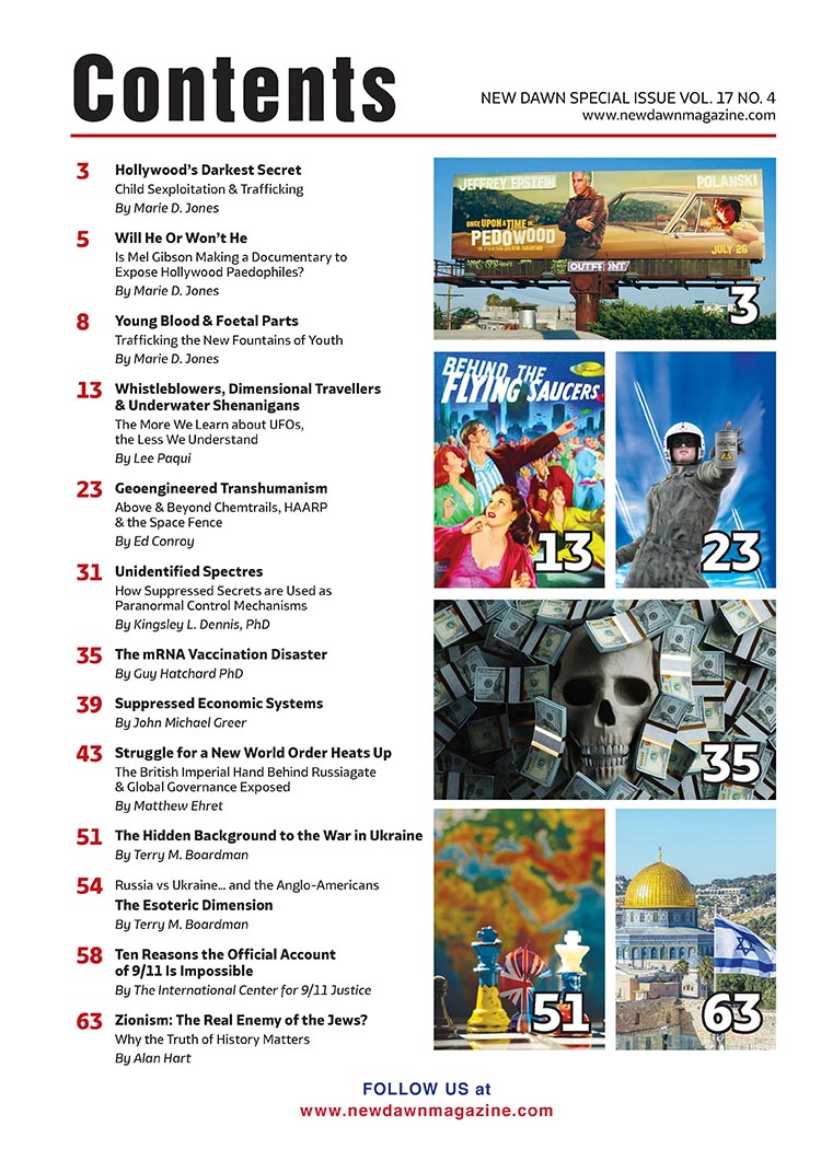 New Dawn Special Issue Vol.17 No.4 - Image 2
