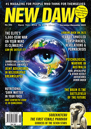 New Dawn 201