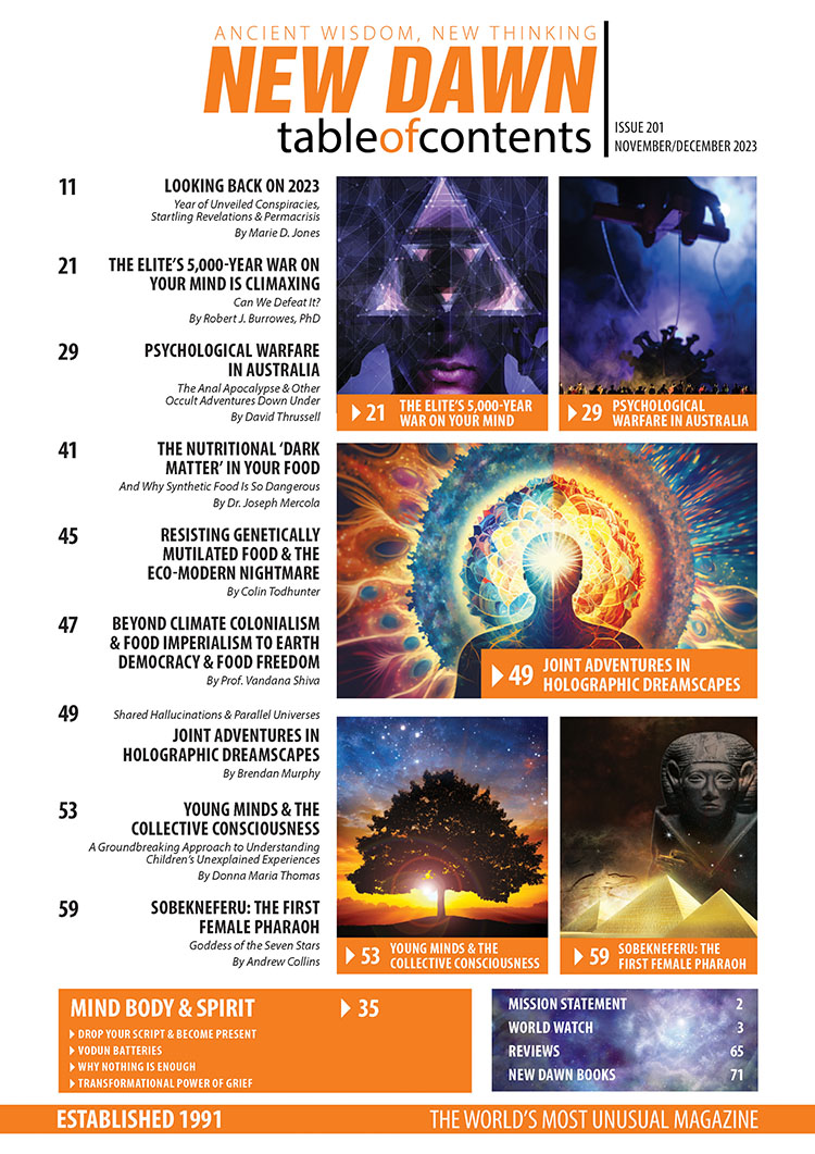 New Dawn 201 - Image 2