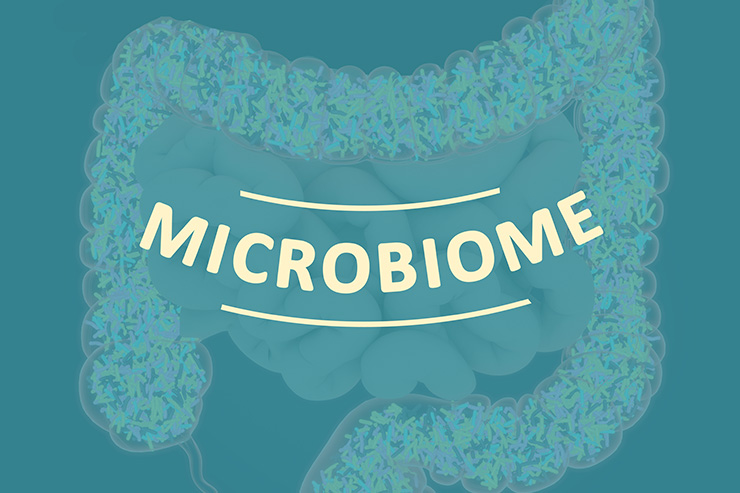 Restore Your Microbiome: The Secrets of Good Gut Health