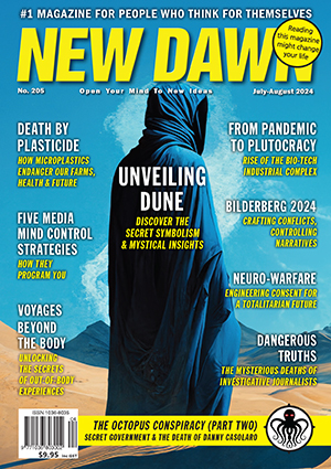 New Dawn 205