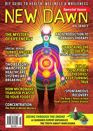 New Dawn Special Issue Vol.18 No.3